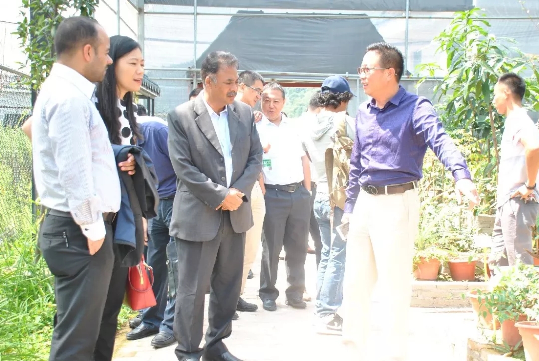 狄派克·班贾德领事一行参观岭南中草药种质种苗繁育基地