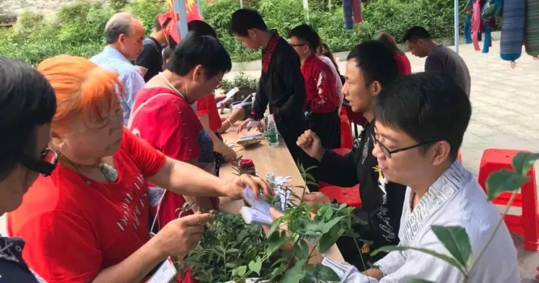 图为活动现场 